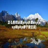 怎么看网站是php还是asp(asp和php哪个是主流)