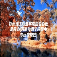 郑州理工职业学院是公办还是民办(河南技师学院是中专还是技校)