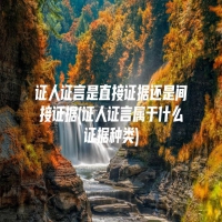 证人证言是直接证据还是间接证据(证人证言属于什么证据种类)