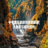 中考速写是模特还是画画(人物速写模特图片)