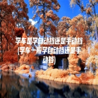 学车是学自动挡还是手动挡(学车一般学自动挡还是手动挡)