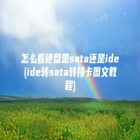 怎么看硬盘是sata还是ide(ide转sata转接卡图文教程)