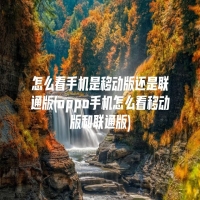 怎么看手机是移动版还是联通版(oppo手机怎么看移动版和联通版)