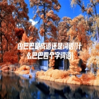 凶巴巴是成语还是词语(什么巴巴四个字词语)