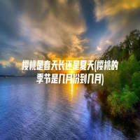 樱桃是春天长还是夏天(樱桃的季节是几月份到几月)