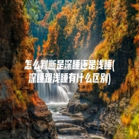 怎么判断是深睡还是浅睡(深睡跟浅睡有什么区别)