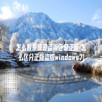 怎么看系统是盗版还是正版(怎么区分正版盗版windows7)