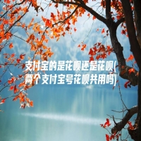 支付宝的是花呗还是花呗(两个支付宝号花呗共用吗)