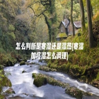 怎么判断是寒湿还是湿热(寒湿加痰湿怎么调理)