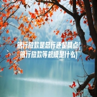 银行放款是总行还是网点(银行放款等规模是什么)