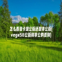 怎么看显卡是公版还是非公版(vega56公版和非公的差别)