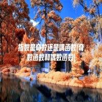 指数是奇数还是偶函数(奇数函数和偶数函数)