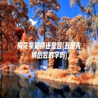 胸花字是横还是竖(五是先横后竖的字吗)