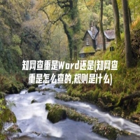 知网查重是Word还是(知网查重是怎么查的,规则是什么)