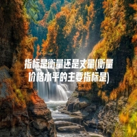 指标是衡量还是丈量(衡量价格水平的主要指标是)