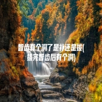 智齿有个洞了是补还是拔(拔完智齿后有个洞)