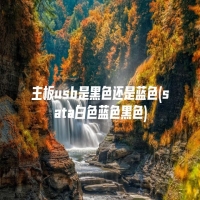 主板usb是黑色还是蓝色(sata白色蓝色黑色)