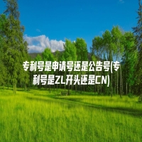 专利号是申请号还是公告号(专利号是ZL开头还是CN)