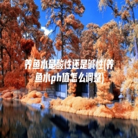 养鱼水是酸性还是碱性(养鱼水ph值怎么调整)