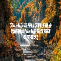 学web前端是自学好还是去培训机构(web前端零基础要学多久)