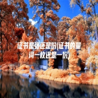 证书是张还是份(证书的量词一枚还是一份)