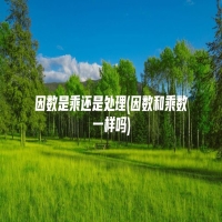 因数是乘还是处理(因数和乘数一样吗)