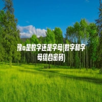 豫o是数字还是字母(数字和字母组合密码)