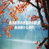 鱼汤是热水还是凉水好(煮鱼汤用什么鱼好)