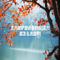 主力是护盘还是自救(主力是怎么洗盘的)