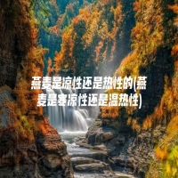 燕麦是凉性还是热性的(燕麦是寒凉性还是温热性)