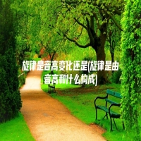 旋律是音高变化还是(旋律是由音高和什么构成)