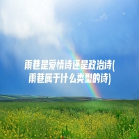 雨巷是爱情诗还是政治诗(雨巷属于什么类型的诗)