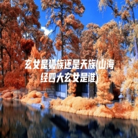 玄女是狐族还是天族(山海经四大玄女是谁)