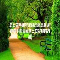 怎么查手机号是移动还是联通(查看手机号码前三位号段的方法)