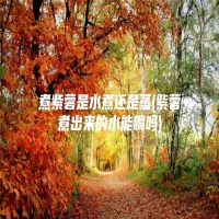 煮紫薯是水煮还是蒸(紫薯煮出来的水能喝吗)