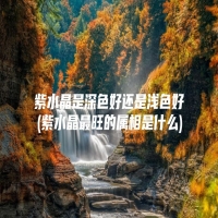 紫水晶是深色好还是浅色好(紫水晶最旺的属相是什么)