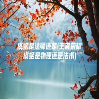 虞姬是法师还是(王者荣耀虞姬是物理还是法术)