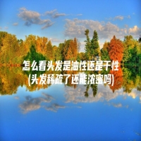 怎么看头发是油性还是干性(头发稀疏了还能浓密吗)