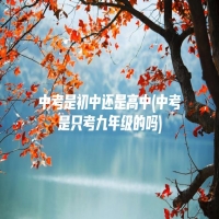 中考是初中还是高中(中考是只考九年级的吗)