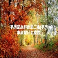 学历是本科还是二本(学历本科是什么意思)