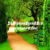 怎么看iphone是gsm还是cdma(iphone4cdma)