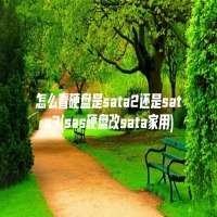 怎么看硬盘是sata2还是sata3(sas硬盘改sata家用)