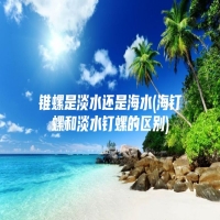 锥螺是淡水还是海水(海钉螺和淡水钉螺的区别)