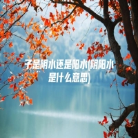 子是阴水还是阳水(阴阳水是什么意思)