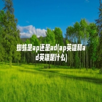 蜘蛛是ap还是ad(ap英雄和ad英雄是什么)