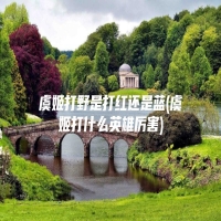 虞姬打野是打红还是蓝(虞姬打什么英雄厉害)