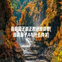 指前因子是正数还是负数(指前因子A与什么有关)