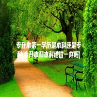 专升本第一学历是本科还是专科(专升本和本科地位一样吗)