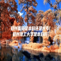 郑州体院是本科还是大专(郑州理工大学是本科吗)