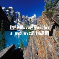 致癌的是uva还是uvb(uva uvb uvc是什么意思)